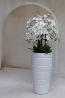 Madrid Rotto, duży storczyk podłogowy w białej donicy, wys.154cm  