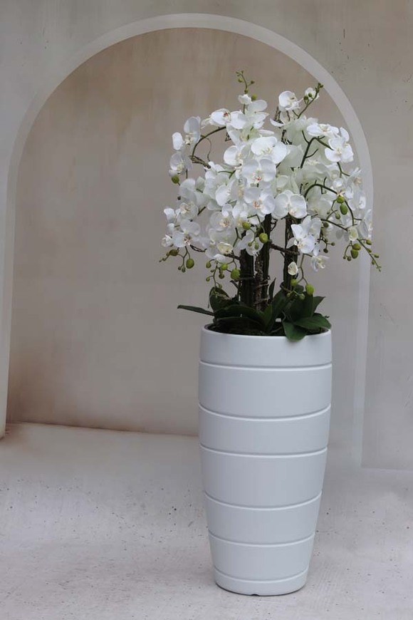 Madrid Rotto, duży storczyk podłogowy w białej donicy, wys.154cm  