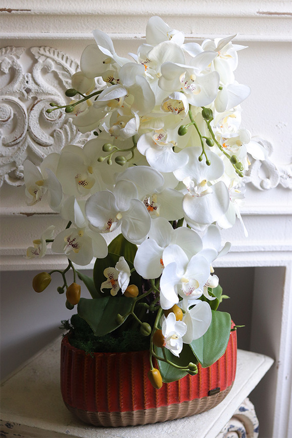 Helide Etnica, sztuczny storczyk w owalnej osłonce