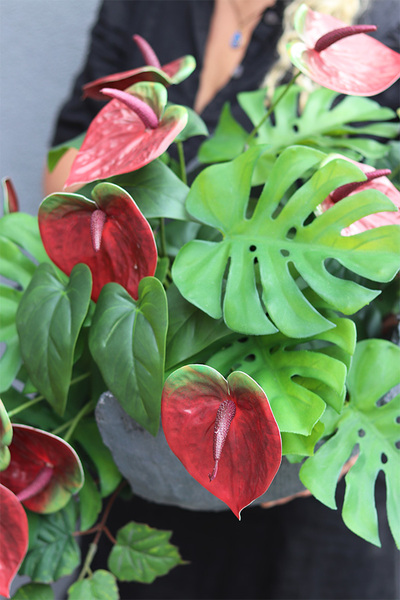 Anturium Volcan Bordo, nowoczesna kompozycja nagrobna