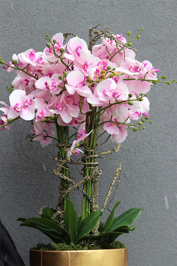 Pink Orchid Złota Bajka, sztuczny storczyk podłogowy