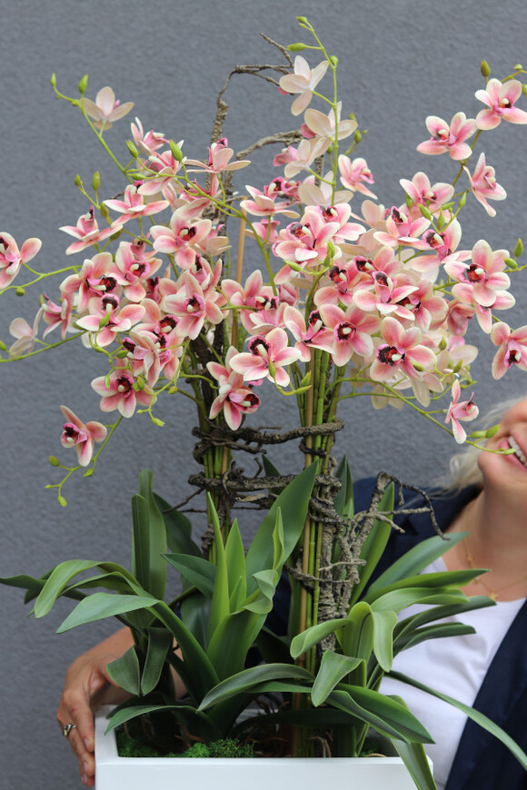 Fiberglass Cherie, gumowy storczyk w białej donicy