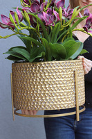 Goldenario Harlow, biały gumowy storczyk w złotej donicy