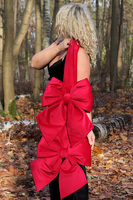 Velvet Papillon DUO, welurowa kokarda pluszowa dwustronna na drzwi