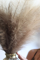 Trawy Pampasowe Africana, kompozycja kwiatowa w złotym wazonie