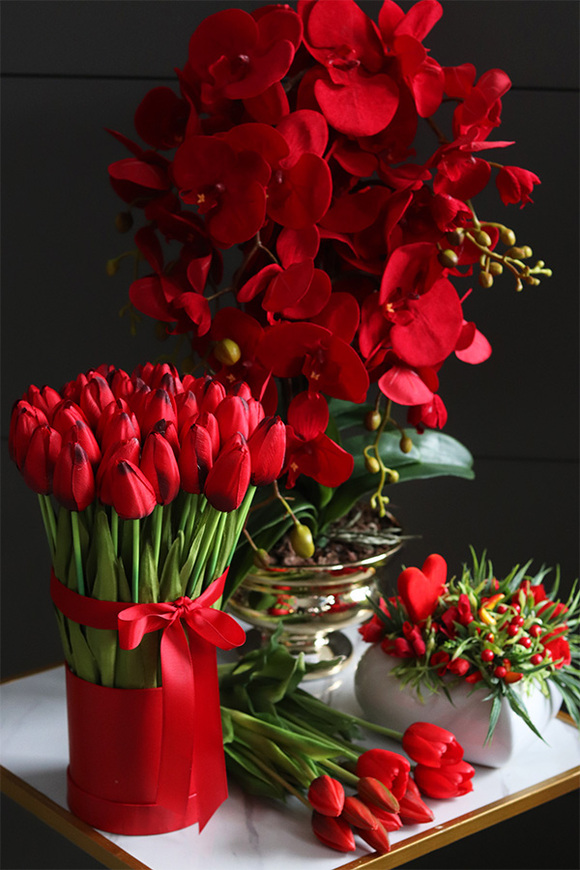 Miłosna Czerwień, karminowy welurowy storczyk