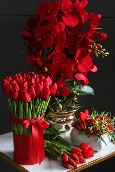 Miłosna Czerwień, karminowy welurowy storczyk