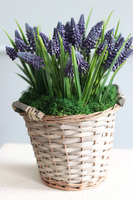 koszyczek Szafirków Premium, dekoracja ze sztucznych roślin, wys.32cm 