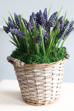 koszyczek Szafirków Premium, dekoracja ze sztucznych roślin, wys.32cm 