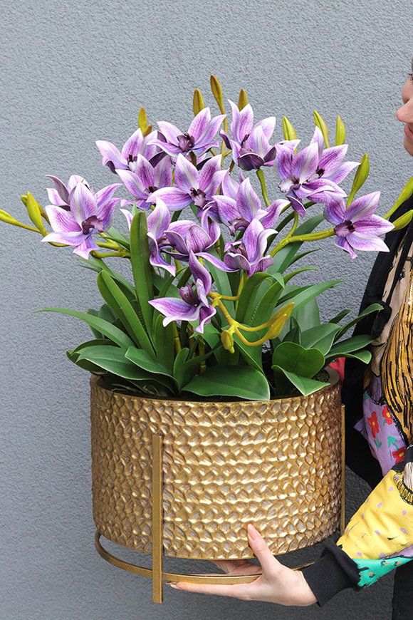 Goldenario Fioletti, biały storczyk w złotej donicy, wys.68cm