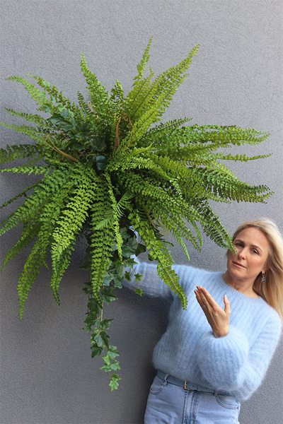 Momu Saute, sztuczna paprotka do twojej donicy