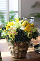 bogaty kosz wiosennych kwiatów, Eveline Spring Provance