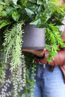 Green Moni Concrete, zielona kompozycja wisząca