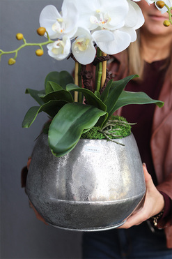 Modern Silver, sztuczny storczyk w metalowej donicy, wys.71cm