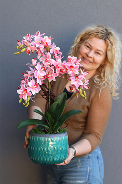 Turkussina, gumowy storczyk w turkusowej donicy, wys.63cm