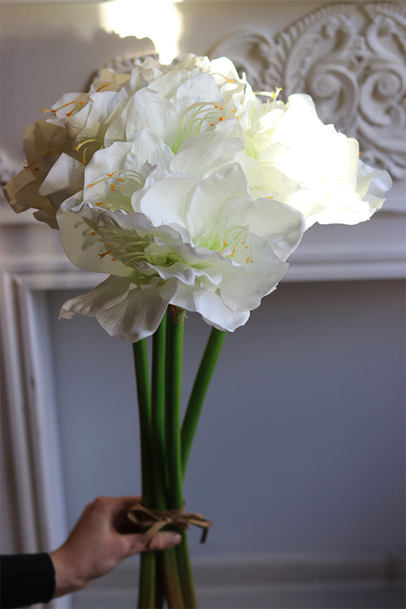 Amarylis Biały, bukiet kwiatów