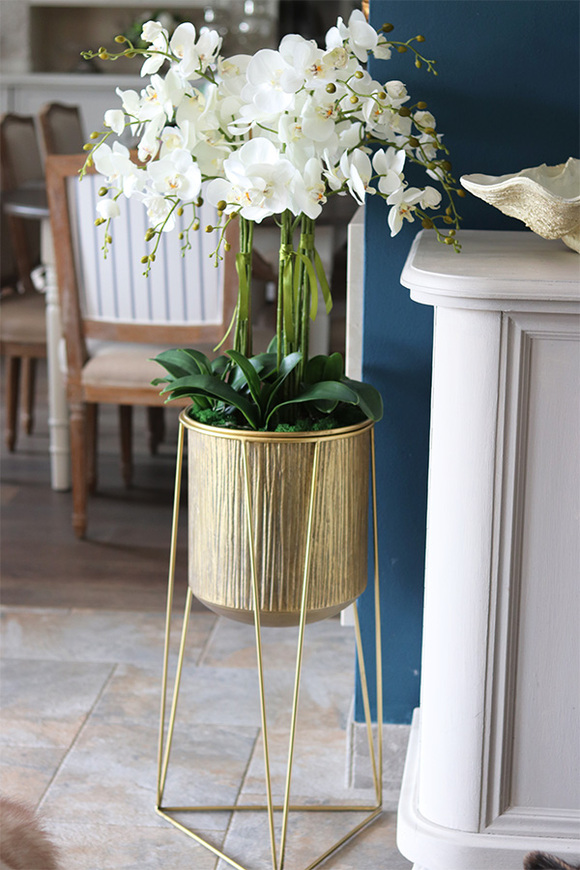 Goldisso Astretta, elegancki storczyk w donicy na trójnogu, wys.135cm