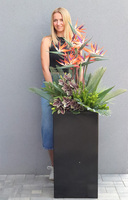 Strelicja Królewska Modern, sztuczna roślina w donicy fiberglass