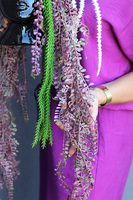 Cristina Head Lux, kompozycja sukulenty w głowie, wys.50cm+zwisy