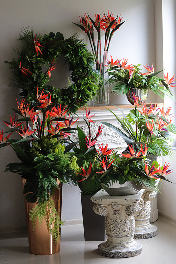 Strelicja Laos Silver, kompozycja w srebrnej donicy