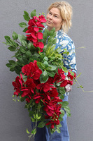 Red Orchids Volcan, komplet dekoracji nagrobnych