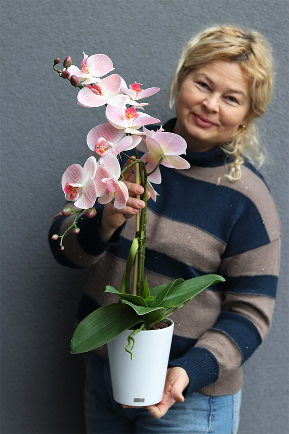  Kefani Otellia, różowy storczyk w białej donicy