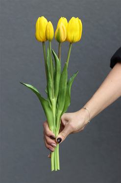 Aprile, bukiet tulipanów silikonowych, żółte, 5szt, dł.40cm