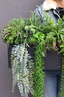 Balconera Zielona Mila, ekskluzywna zielona kompozycja w donicy