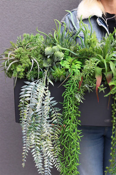 Balconera Zielona Mila, ekskluzywna zielona kompozycja w donicy