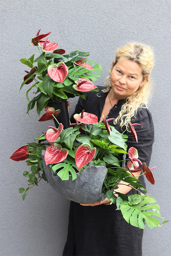 Anturium Volcan Bordo, nowoczesna kompozycja nagrobna