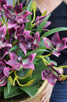 Goldenario Harlow, biały gumowy storczyk w złotej donicy