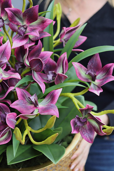 Goldenario Harlow, biały gumowy storczyk w złotej donicy