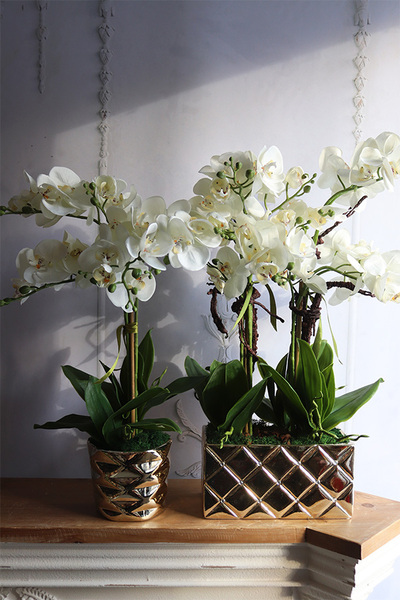 Diamondo Gold 4, storczyk w złotej donicy wysadzanej kryształami