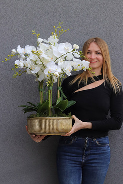 Hillton Gold 3, sztuczny storczyk w złotej misie, wys.73cm