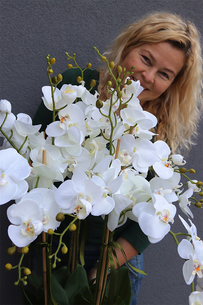 duży storczyk Mediolan Grande w białej donicy, wys.140cm 