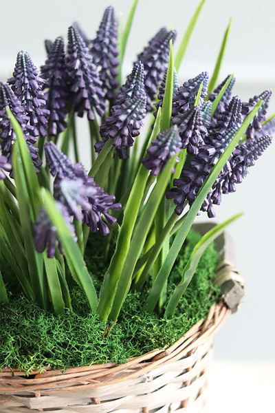 koszyczek Szafirków Premium, dekoracja ze sztucznych roślin, wys.32cm 