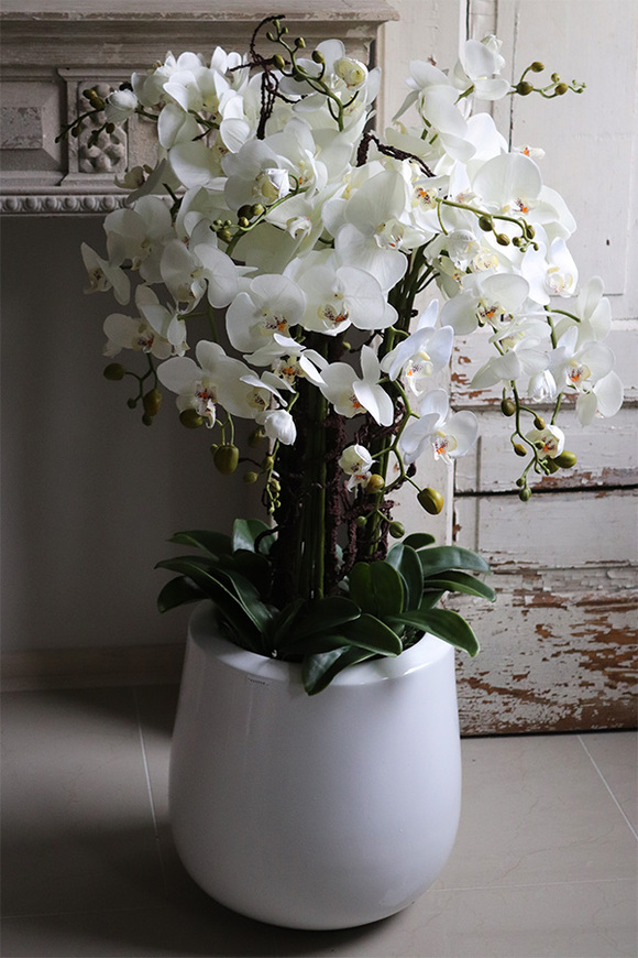 Fiberglass White Grande Ferita, sztuczny storczyk w białej donicy, wys.105cm 