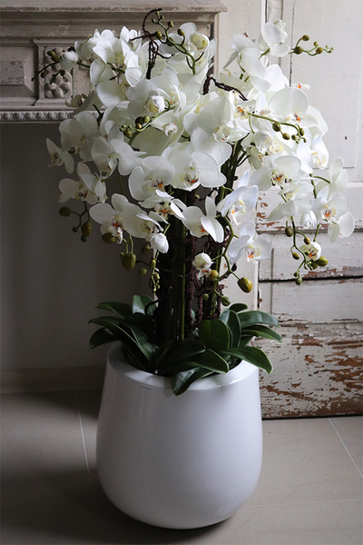 Fiberglass White Grande Ferita, sztuczny storczyk w białej donicy, wys.105cm 