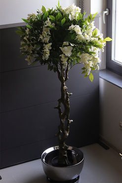 Wisteria Biała Silverita, sztuczna roślina w donicy, wys.155cm