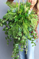 Green Moni Concrete, zielona kompozycja wisząca