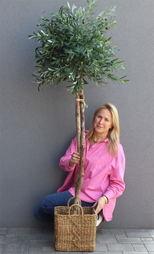 Oliwka Bali Basket, sztuczne drzewko w doniczce, wys.190cm