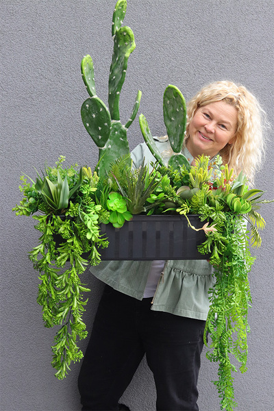 Opuncja Cacti Saute, sukulenty z kaktusem do Twojej donicy