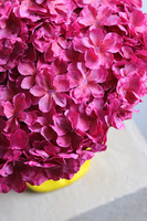 Dama w Kapeluszu 2, kompozycja kwiatowa