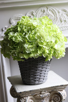 bogaty kosz z hortensjami, Provance Pistacio 2