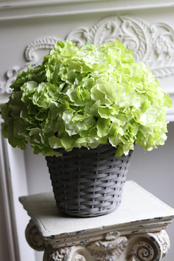 bogaty kosz z hortensjami, Provance Pistacio 2, wys.45cm