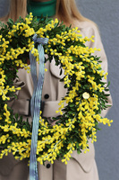 Mimosis, wiosenny wianek na drzwi z mimozy