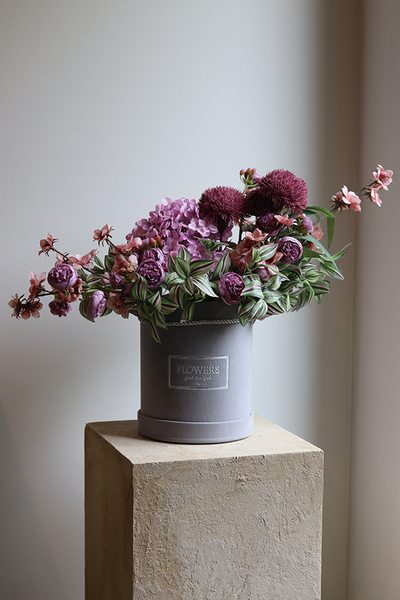 Violanta, flowerbox z hortensjami