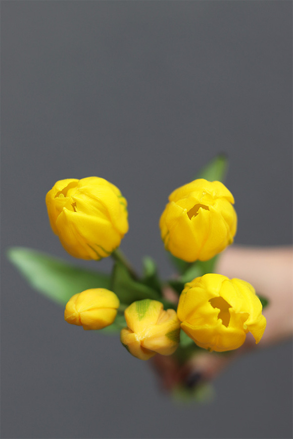 Aprile, bukiet tulipanów silikonowych, żółte