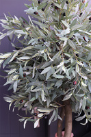 Drzewko Oliwne Hilltonka 2, sztuczna roślina w srebrnej donicy