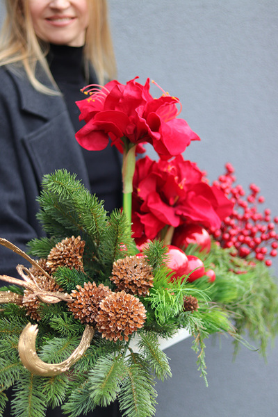 Amarylis Longia, kompozycja kwiatowa w naczyniu